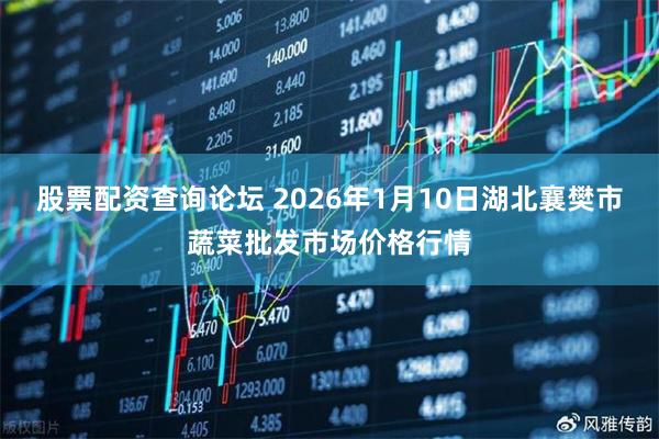 股票配资查询论坛 2026年1月10日湖北襄樊市蔬菜批发市场价格行情
