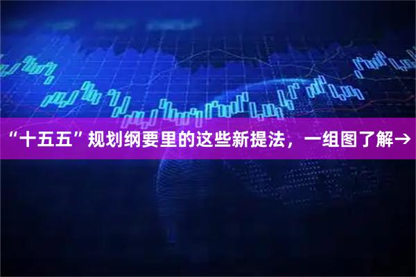 “十五五”规划纲要里的这些新提法，一组图了解→