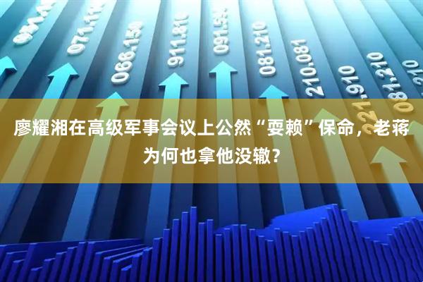 廖耀湘在高级军事会议上公然“耍赖”保命，老蒋为何也拿他没辙？