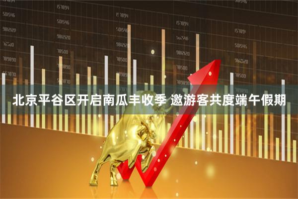 北京平谷区开启南瓜丰收季 邀游客共度端午假期