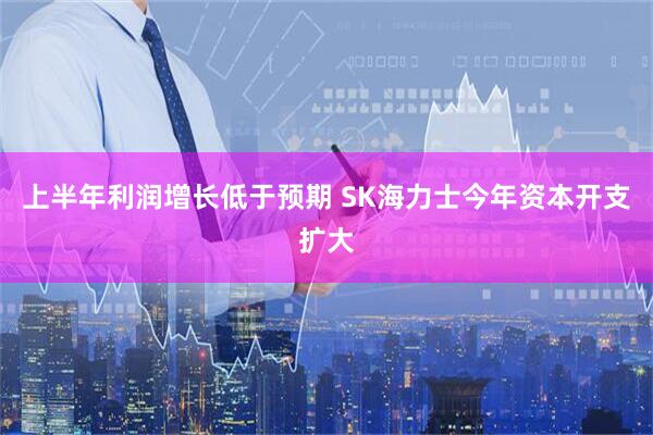 上半年利润增长低于预期 SK海力士今年资本开支扩大